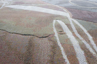Mornington Multi & Brown Rug