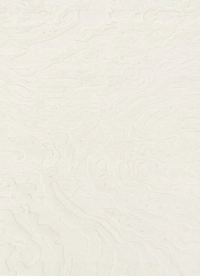 Paynesville Ivory Wool Rug
