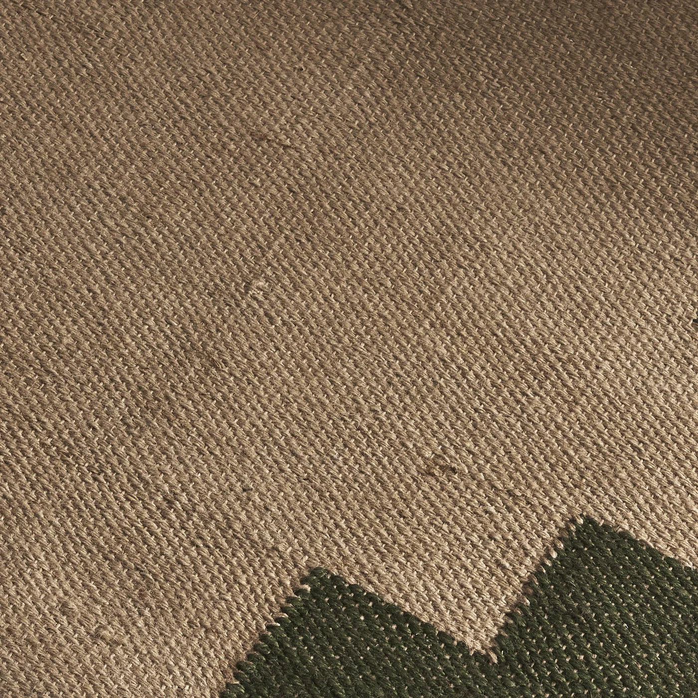 Trigg Brown & Green Jute Rug