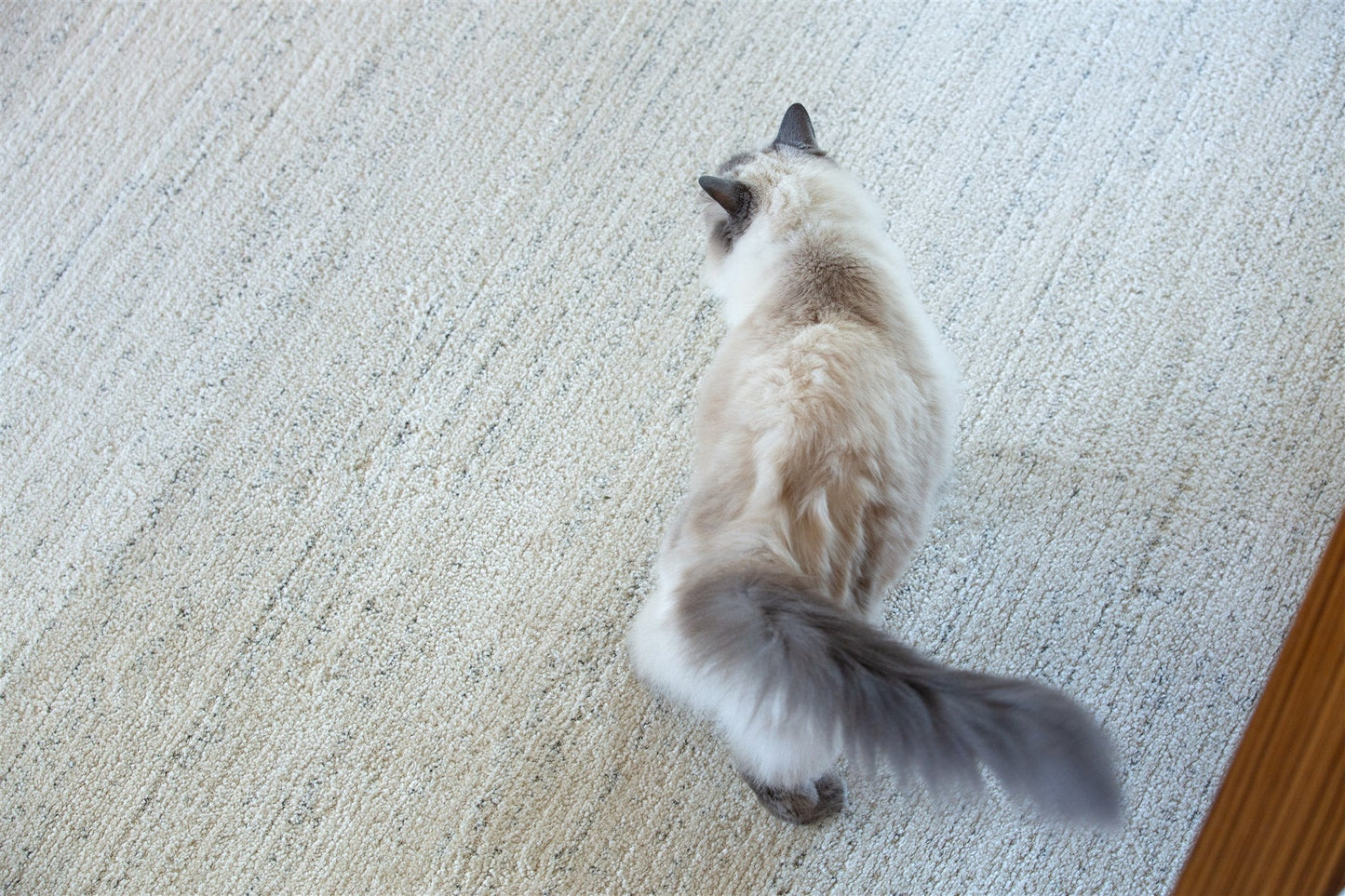 Yarra Beige Round Rug